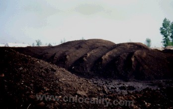 Peat resources