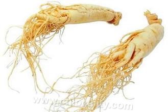 Jixi ginseng