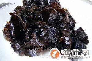 Auricularia didyma