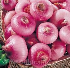 onion