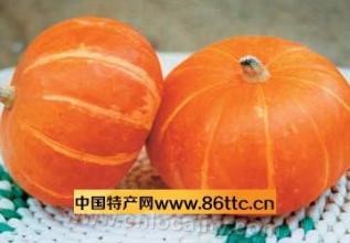 South China pumpkin