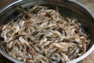 Yellow river shrimp