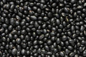 black soya bean