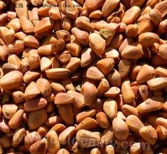 Yichun Korean pine seed