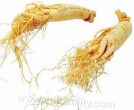 Nancha ginseng