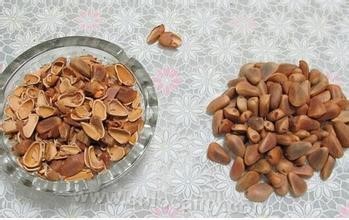 Yichun red pine nuts