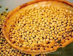 Mingshui soybean