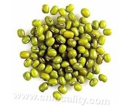 mung bean