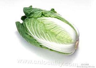 Northeast Chinese cabbage