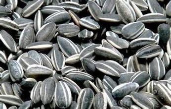 Gannan sunflower seed