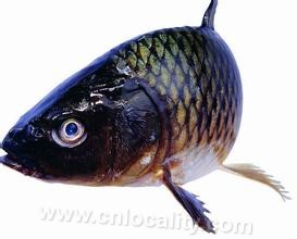 Zhalong crucian carp