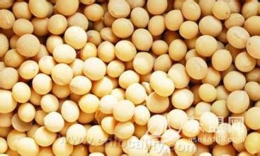 Heilongjiang soybean