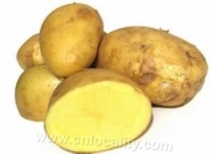 Keshan potato