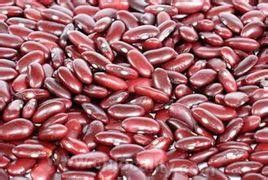 Baiquan kidney bean