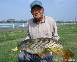 Wudalianchi carp