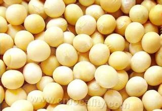 Beian soybean