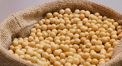 Life-prolonging soybean