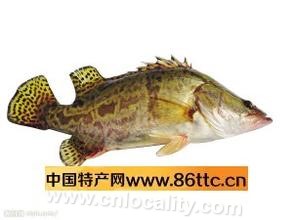 Songhua River aquatic products treasures