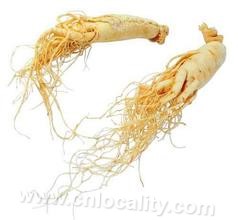 Yilan ginseng