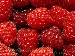 Shangzhi red raspberry