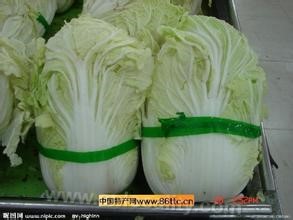 Cabbage in Taiping village