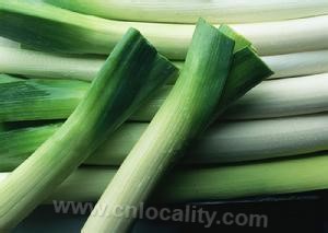 Hulan scallion