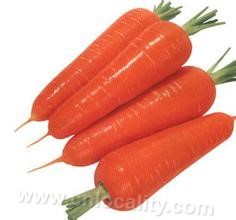 Xinli carrot