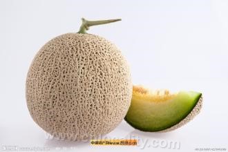 Hami melon in the western suburbs