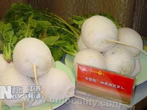 Rugao white radish