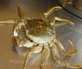 Taohu crab