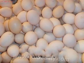 Nanyang Tianshou poultry and eggs