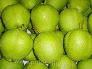 Milu early crisp pear