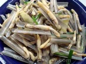 razor clam/shell