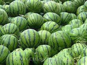 Dongtai watermelon