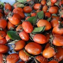 Yellow persimmon with chicken heart