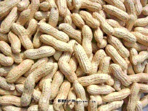 Jiepai peanut