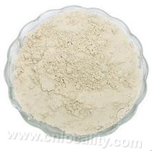 Cynanchum auriculatum powder