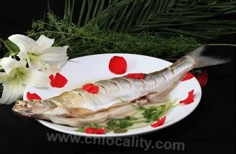 Hongze lake white fish