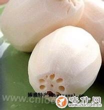 Heyuan Brand shallow water lotus