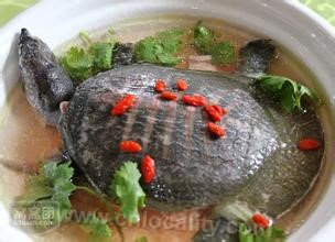 Steamed Turtle