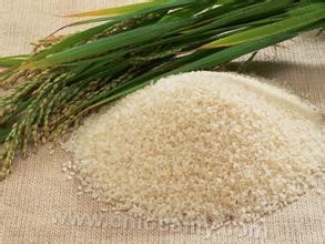 Northeast rice