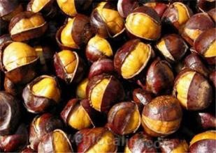 Yuntai chestnut