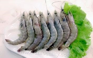 freshwater shrimp