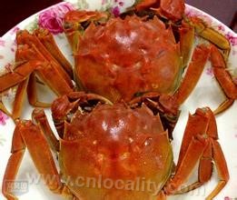 Taihu Qingshui crab