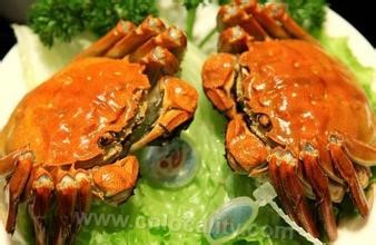 Gucheng lake crab