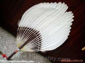 Gaochun feather fan