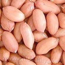 Zhangwu peanut