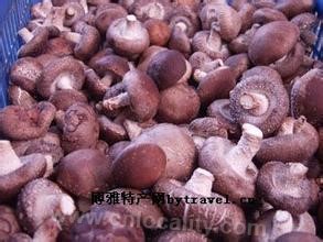 Mushrooms in Hongmiaozi Township