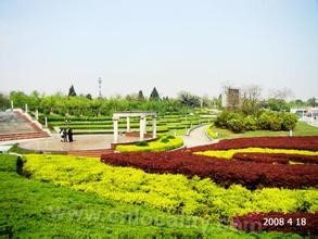 Jiangdu flowers and trees