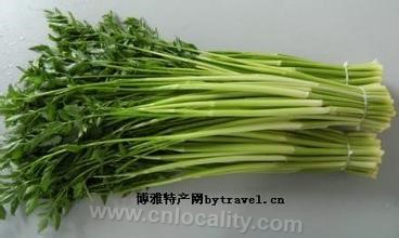 Suzhou cress